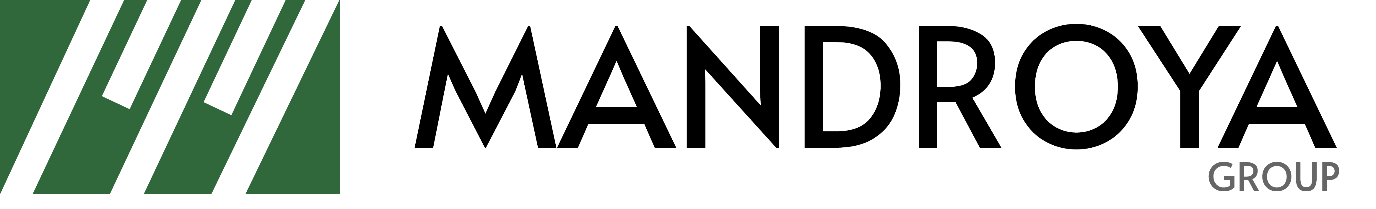 Mandroya Group sp. z o.o. - Rekrutacja specjalistów IT, HR i Business Support